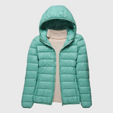 Hooded Turquoise