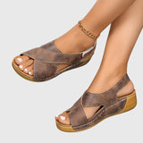 Terracotta Brown